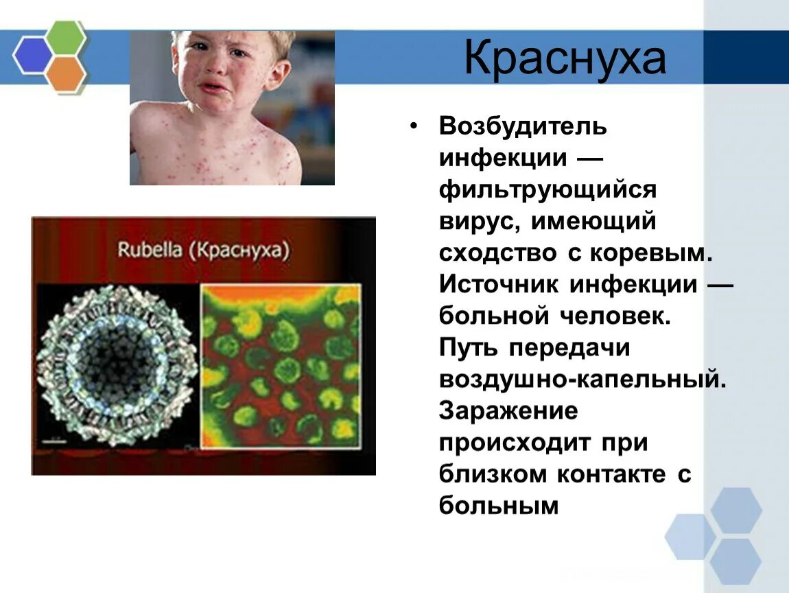 Корь происхождение. Краснуха возбудитель болезни бактерия. Краснуха вирусное заболевание. Краснуха профилактика возбудитель инфекции. Возбудитель краснухи фильтрующий вирус.