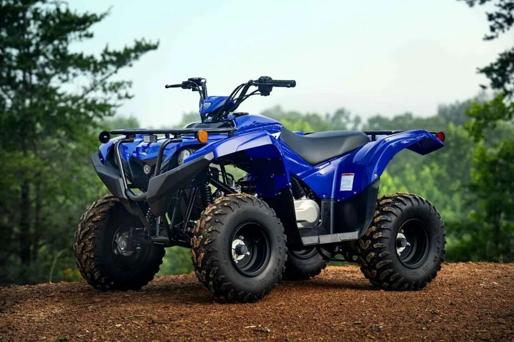 Квадроцикл yamaha grizzly 550. Yamaha grizzly 2022. Ямаха гризли 700 2020. Ямаха гризли 450. Новый гризли.