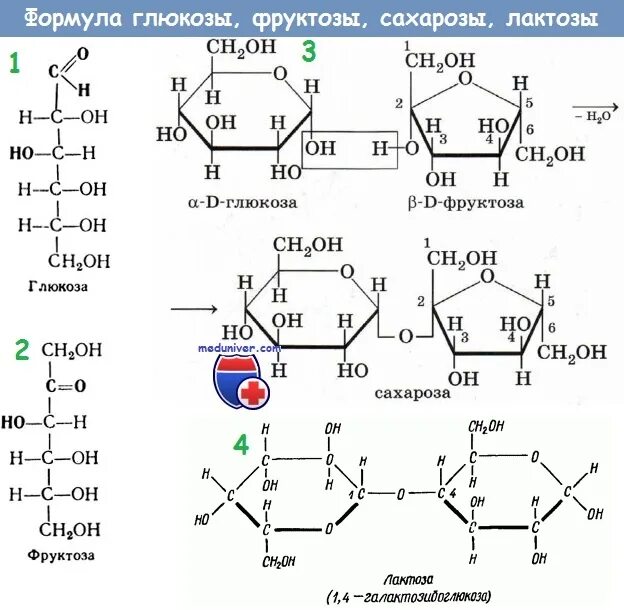 Глюкоза фруктоза сахароза формулы. Формула Глюкозы лактозы фруктозы. Формула сахара, Глюкоза фруктоза, лактоза. Сахароза сахароза Глюкоза фруктоза.