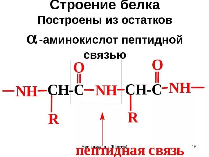 Пептидные связи есть в. Пептидная связь белков. Формула белка пептидная связь. Строение белка пептидная связь. Белки аминокислоты пептидная связь.