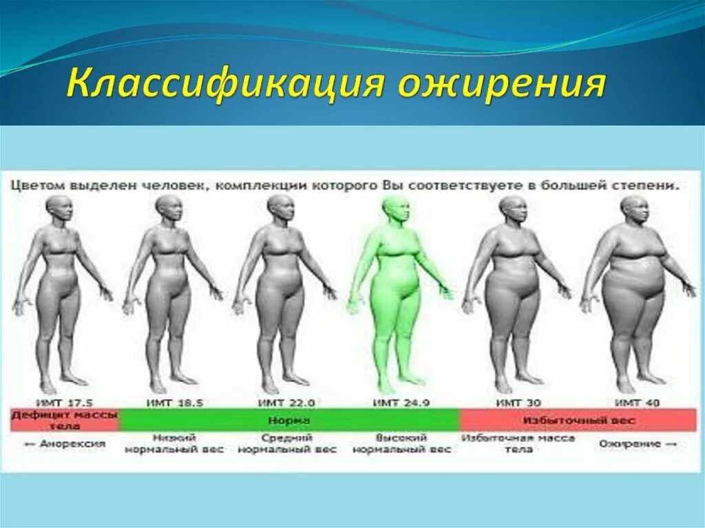 Классификация ожирения. Типы ожирения классификация. Ожирение 1 степени. Типы ожирения у женщин.
