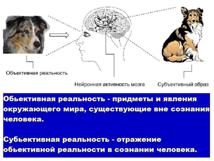 Субъективное отражение реальности. Объективная реальность и субъективная реальность. Субъективное отражение объективной реальности. Объективный и субъективный мир.