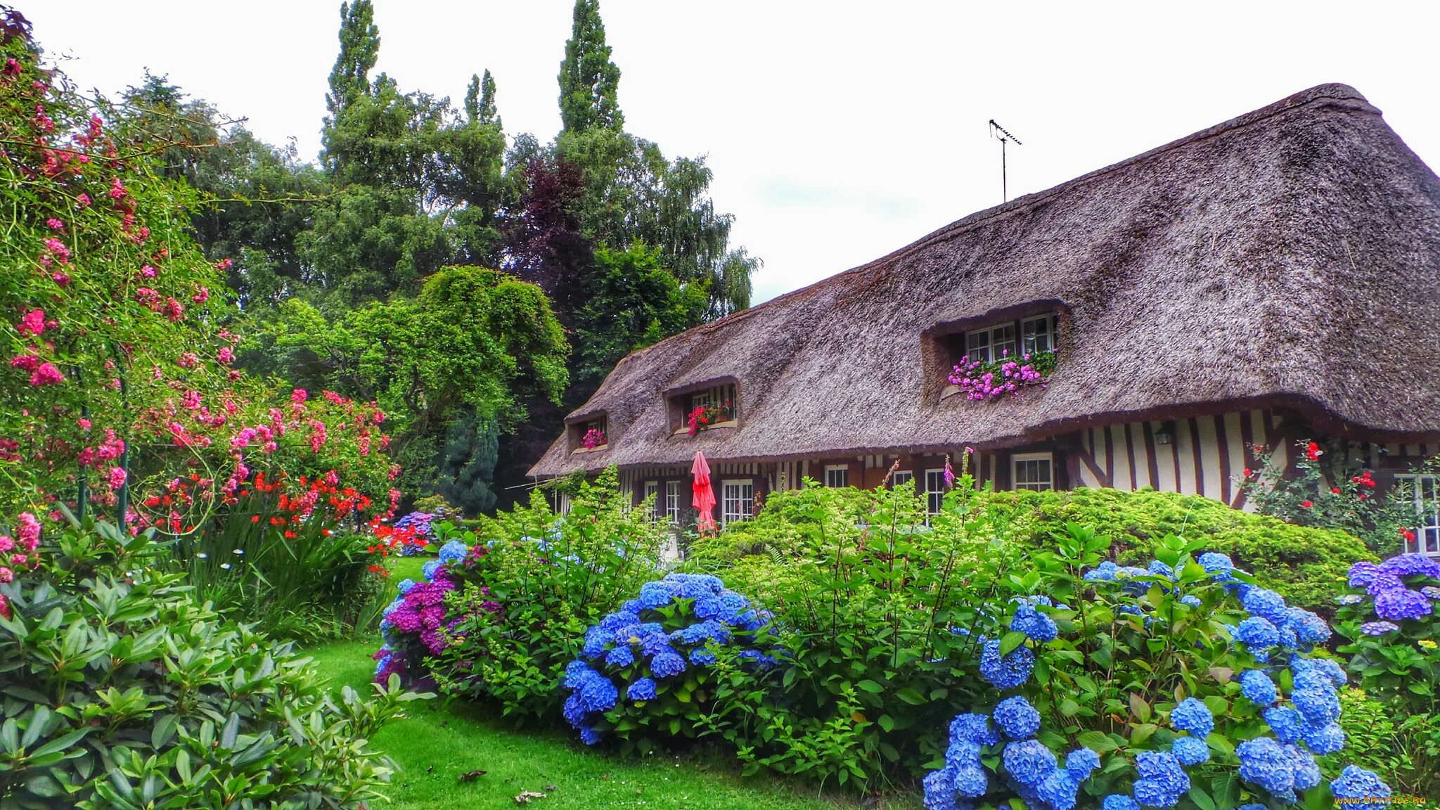 Hat house. Дом в саду. Сказочный домик. Домик с соломенной крышей. Английский дом в деревне с садом.