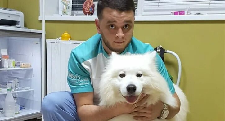 Ветеринары уральские. Баграт ветеринар из Челябинска.