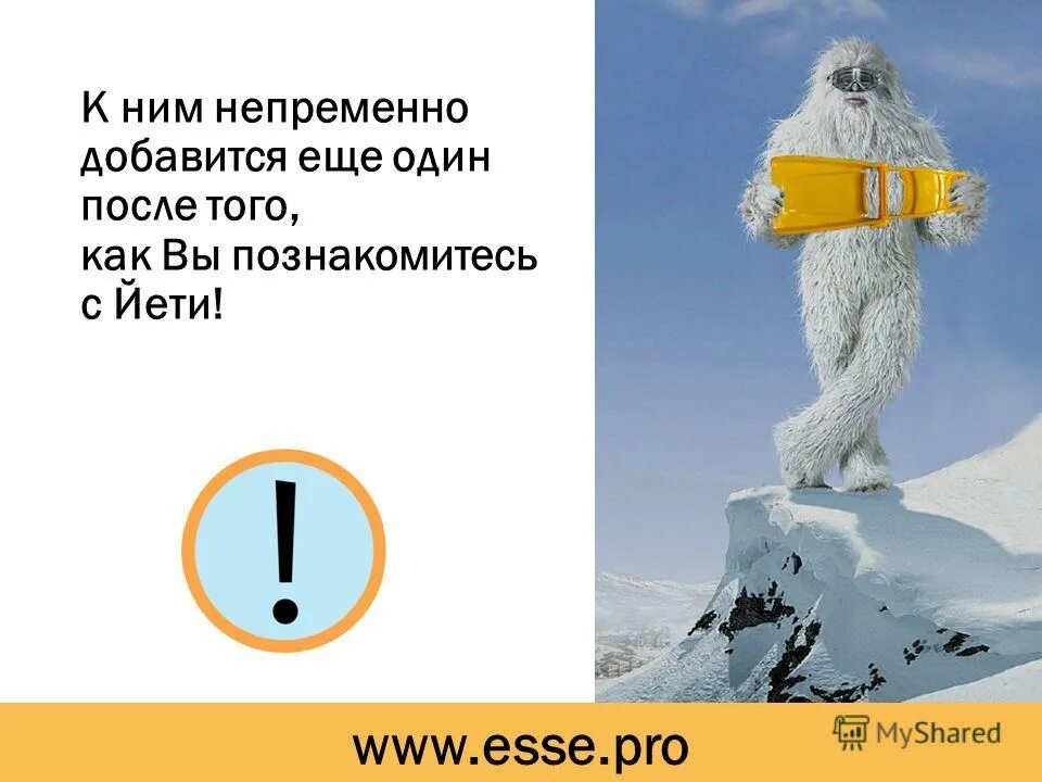 Сасквоч белый. Тексты про снежного человека. Сообщение о снежном человеке. Снежный человек слова. Бигфут етти.