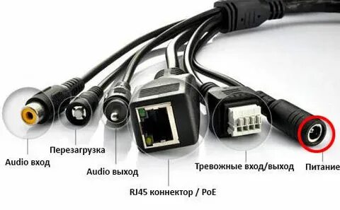 Камеры выхода