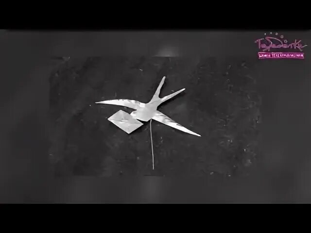 Ласточка символ блокадного ленинграда. Блокадная ласточка ольга берггольц. Блокадная ласточка значок. Блокадная ласточка значок. Блокада ленинграда блокадная ласточка.