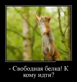 Папа для бельчонка вернуть бывшую читать
