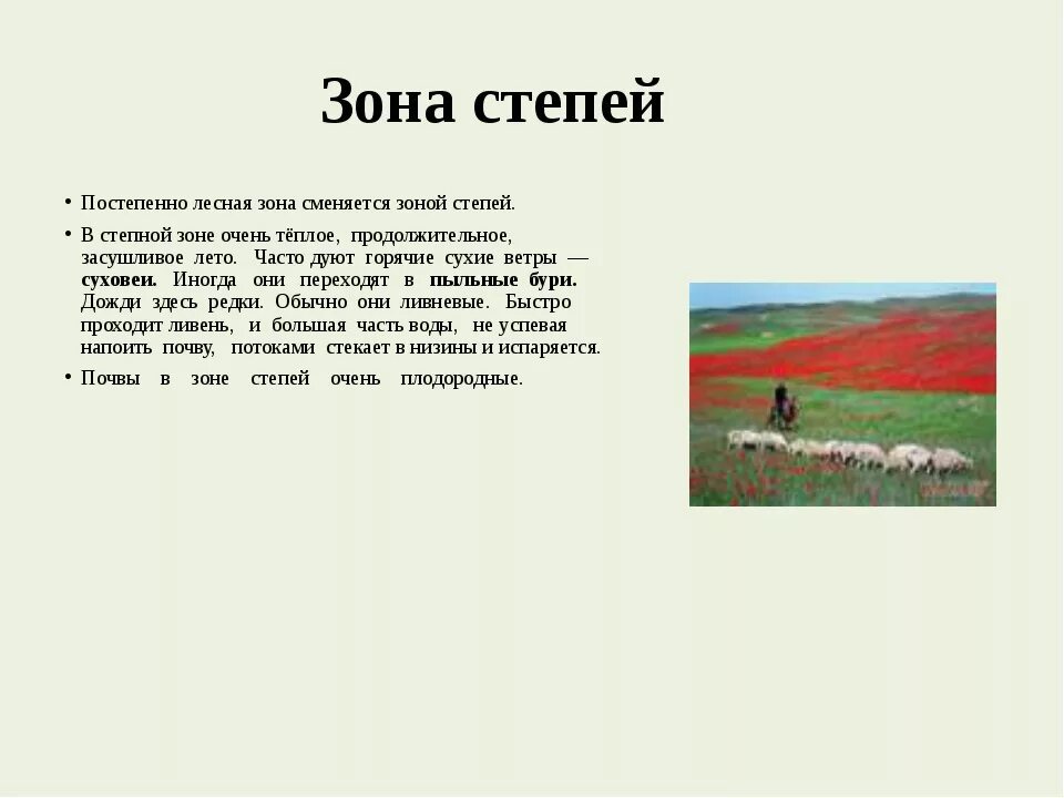 План описания природной зоны степи. Проект зона степей. Рассказ про зону степей России. Доклад про степь. Описание зоны степей.