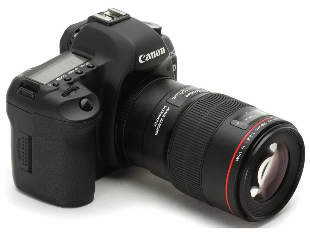 Canon 100mm macro. Canon 100 macro. Canon EOS 5d Mark II Canon 100mm f2. Canon 100mm macro запчасти.