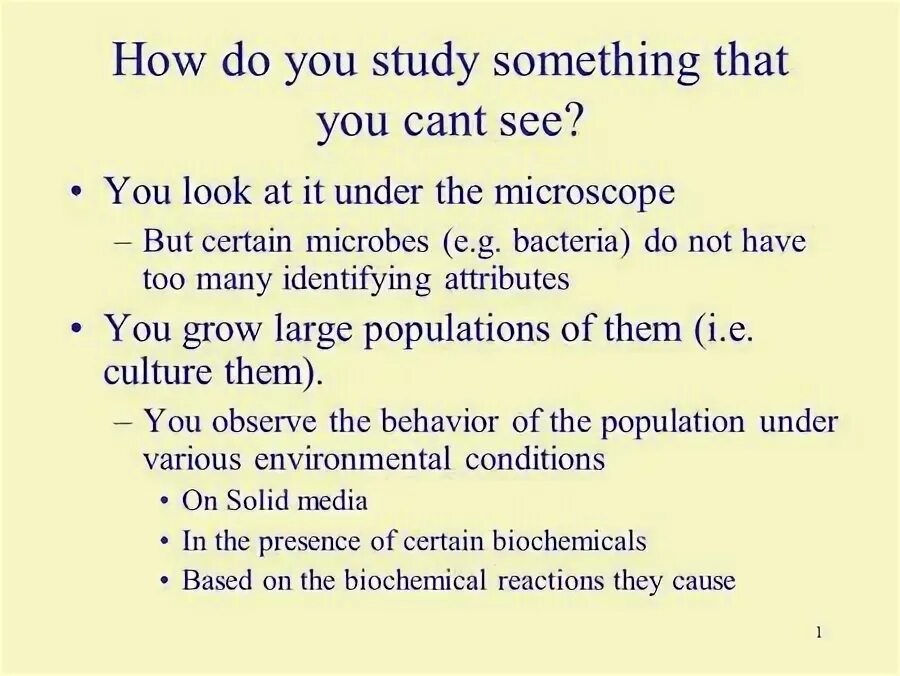Something that is studied is a. Something that is studied is a