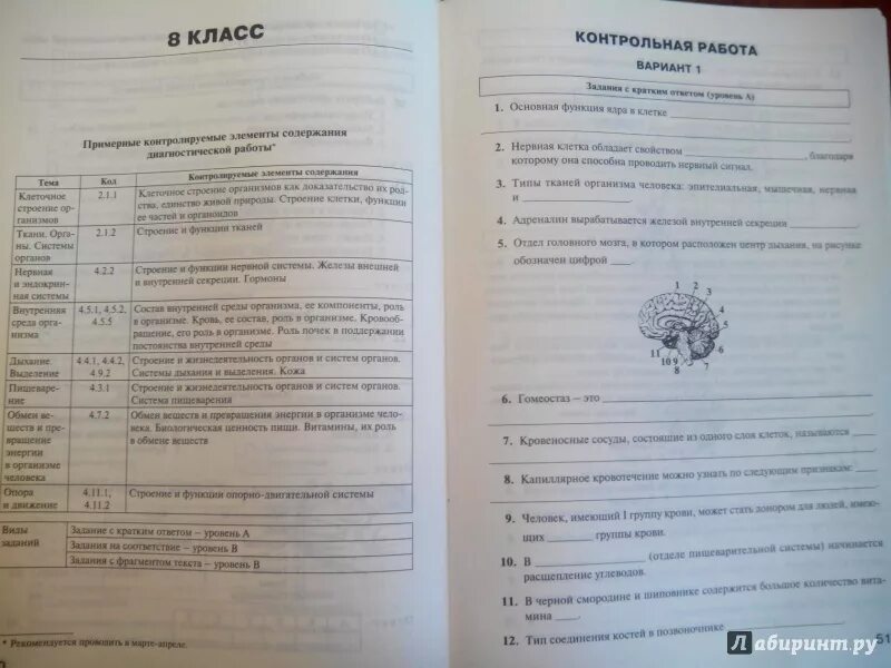 Аттестация по биологии 5 класс. Аттестация по биологии 6 класс. Подготовка к аттестации по биологии 6 класс. Промежуточная аттестация по биологии 6 класс. Промежуточная аттестация по однкнр 6