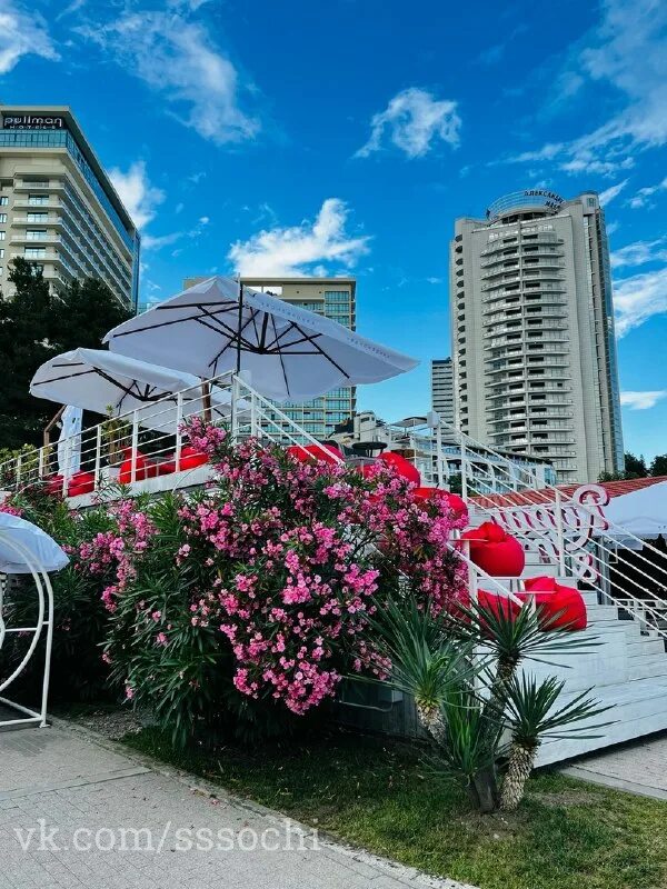 адлер сириус 2023. сочи город 2023. сочи адлер 2023. Crown palace ajman. краснодарский край сочи олимпийский парк сочи парк.