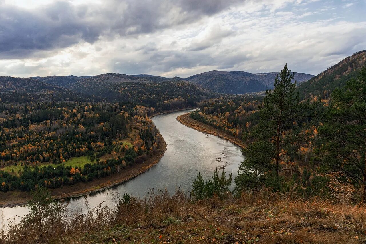 Горно Алтайск Тайга. Северовосточно-Сибирская Тайга. Река Амур Тайга. Северный Алтай Тайга. Тайга невероятное