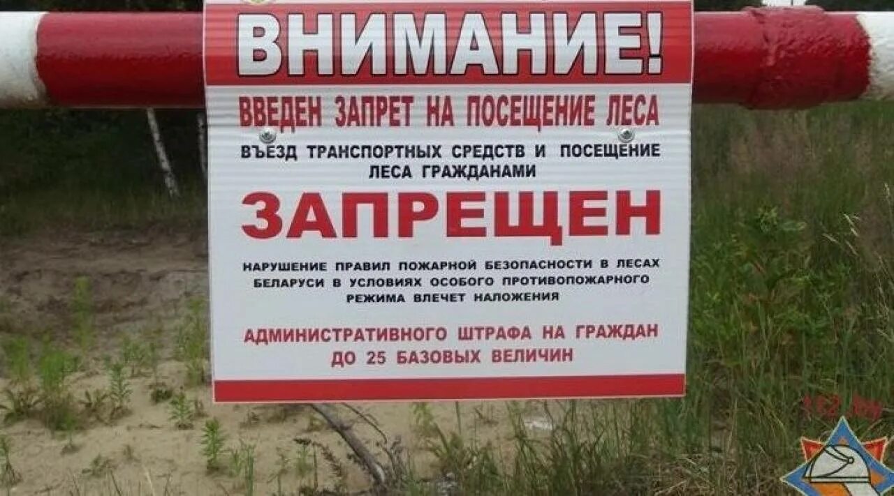 Запрет в лесах беларуси. Запрет на посещение лесов в Беларуси. Запрет на посещение лесов. Запрет на посещение леса в Беларуси. Посещение лесов запрещено.