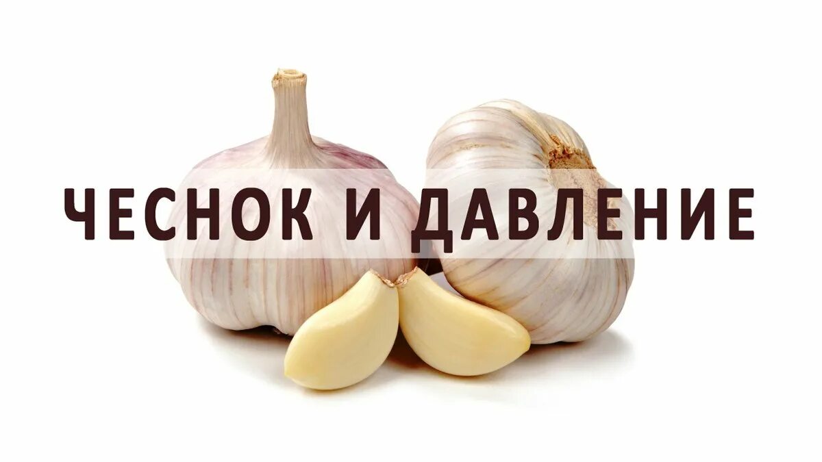 Чеснок при давлении можно. Информация о чесноке. Чеснок от гипертонии. Чеснок с молоком. Чеснок снижает кровяное давление.