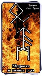 Роды мудрых