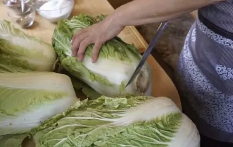 Пекинская капуста выдерживает заморозки