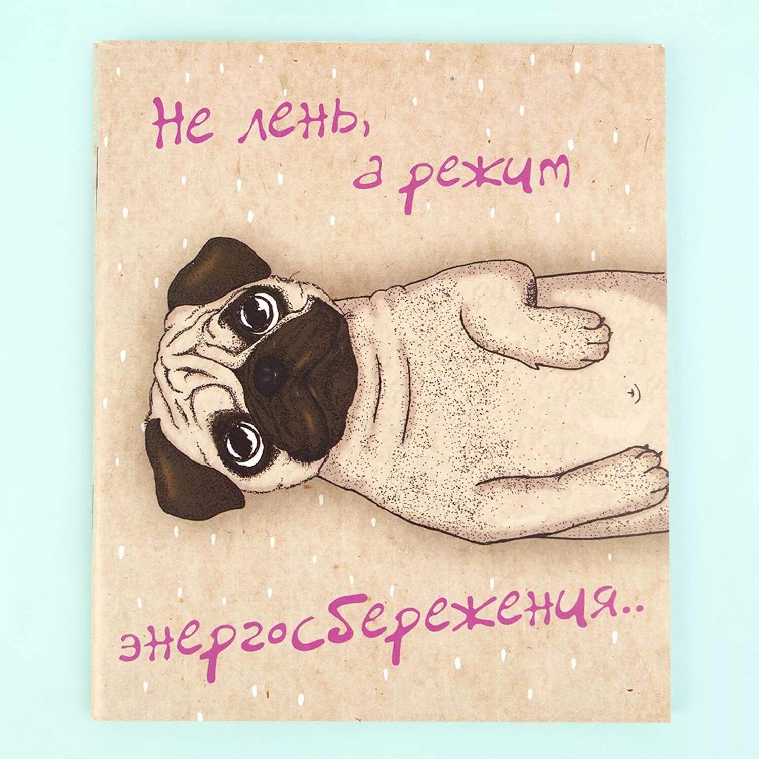 Смешные тетради для школы. Забавные тетради. Крутые тетради. Прикольные обложки на тетради. Забавные тетради.