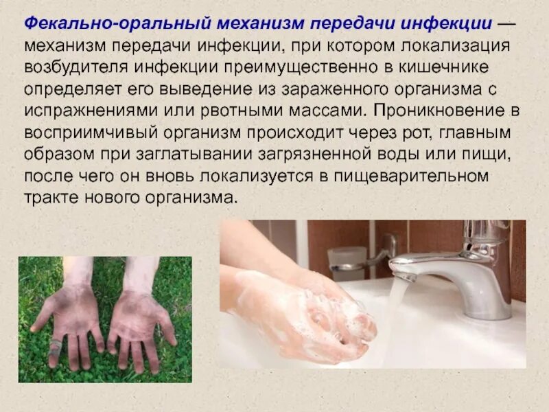 Фекально оральная передача инфекции. Фекально-оральный путь передачи инфекции. Фекально-оральный способ передачи инфекции. Фекально-оральный это. Фекально оральная передача инфекции.