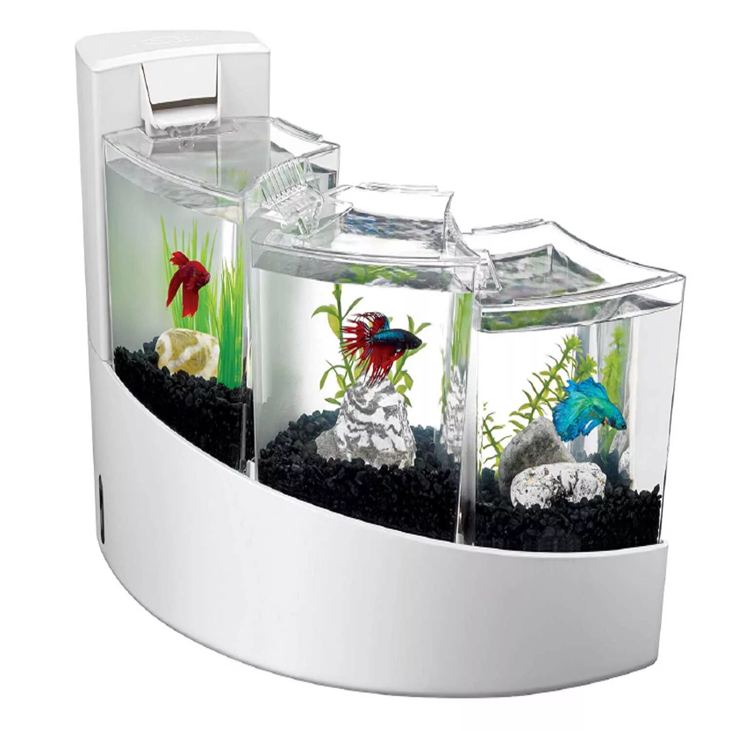 Аквариумы Aqueon 2 Gallon Betta Falls Aquarium Kit. Аквариум Box Betta 1.3. Skylight Betta Fish Tank аквариум. Аквариум (Fish Tank) 2009. Какие рыбки подходят для аквариума