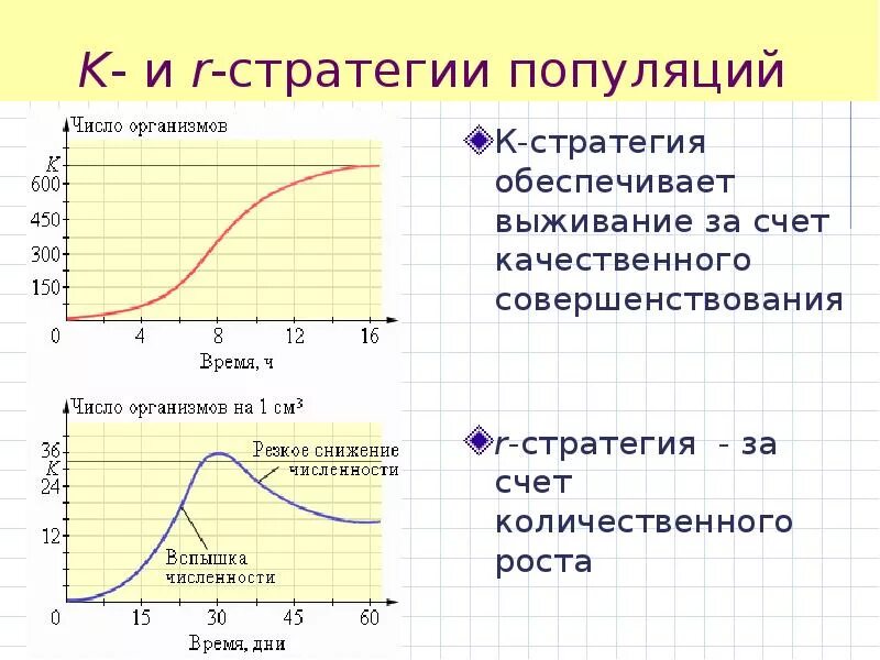 Стратегии популяции. Экологические стратегии выживания популяций. кривая роста численности к стратегов. типы стратегии популяций. типы кривых роста популяции.