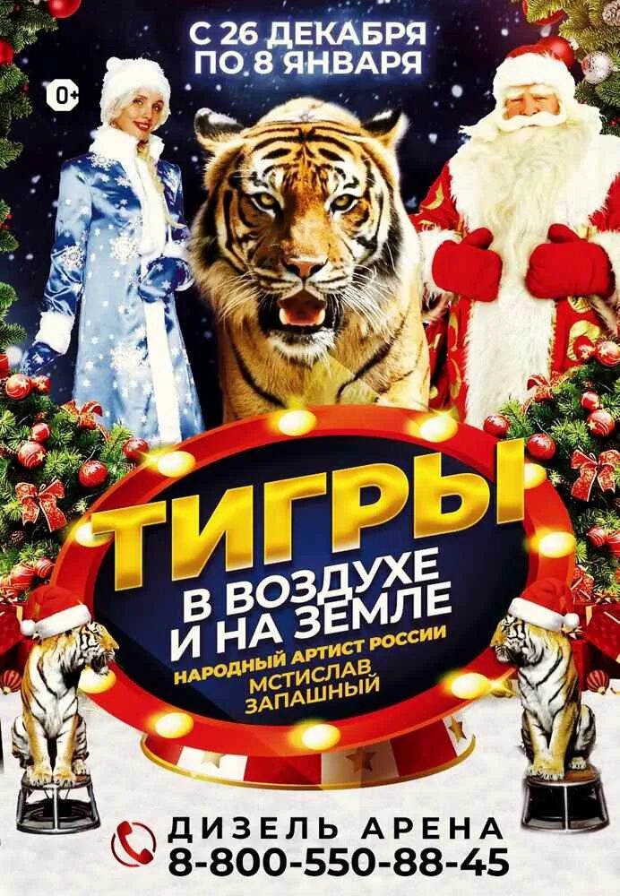 Цирк пенза дизель арена. Цирк пенза афиша. Цирк золотой дракон. Расписание цирка пенза. Цирк пенза коллаж.