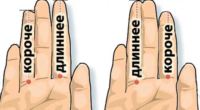 Безымянный палец длиннее мужчины. Безымянный палец. Средний и безымянный палец. Длина пальцев. Мужские и женские руки различие.