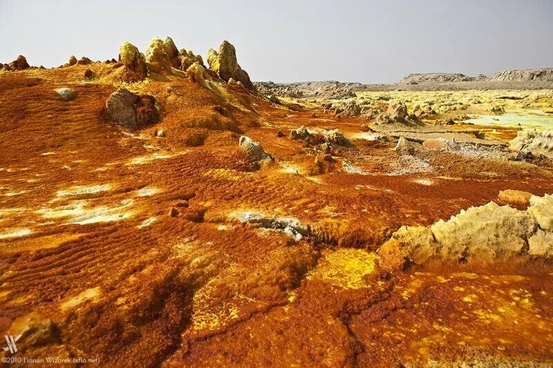Пустыня данакиль эфиопия. Геотермальная зона даллол. Самое жаркое. Пустыня данакиль, восточная африка. Пустыня данакиль эфиопия.