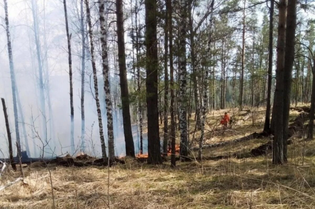 Прогноз в лесном в свердловской