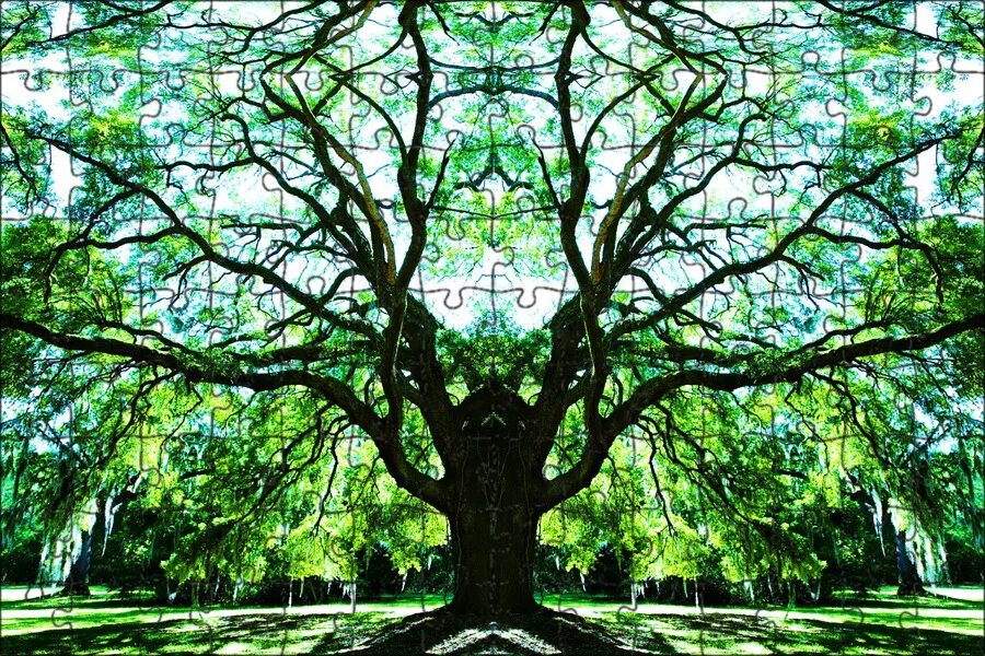 Tree green days