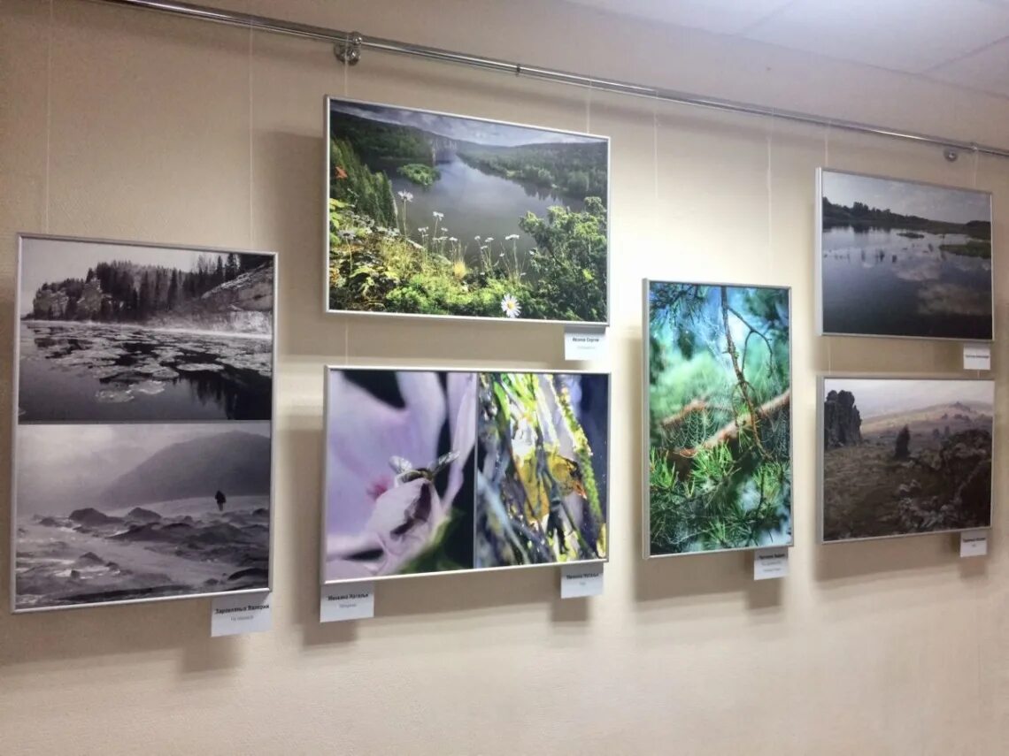 воронежский краеведческий музей зал отдела природы. природная экспозиция. музей природы в дамчике. краеведческий музей железногорск. самарский областной краеведческий музей.