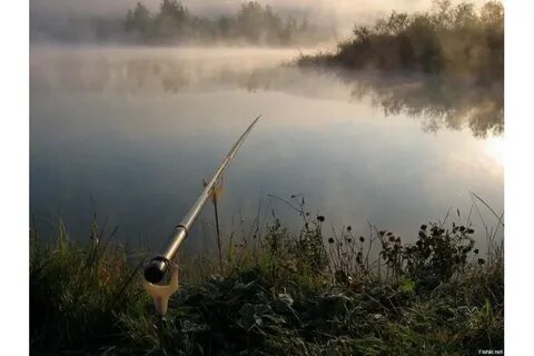 Фото рыбалки летом