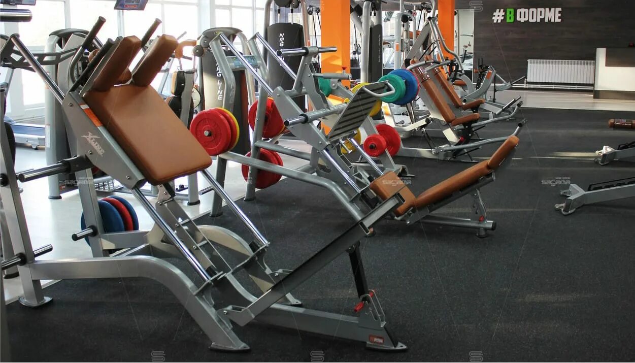 В форме тула фитнес клуб. В форме тула фитнес клуб. В форме тула демонстрации. Фитнес клуб форма. Фитнес центр тула.