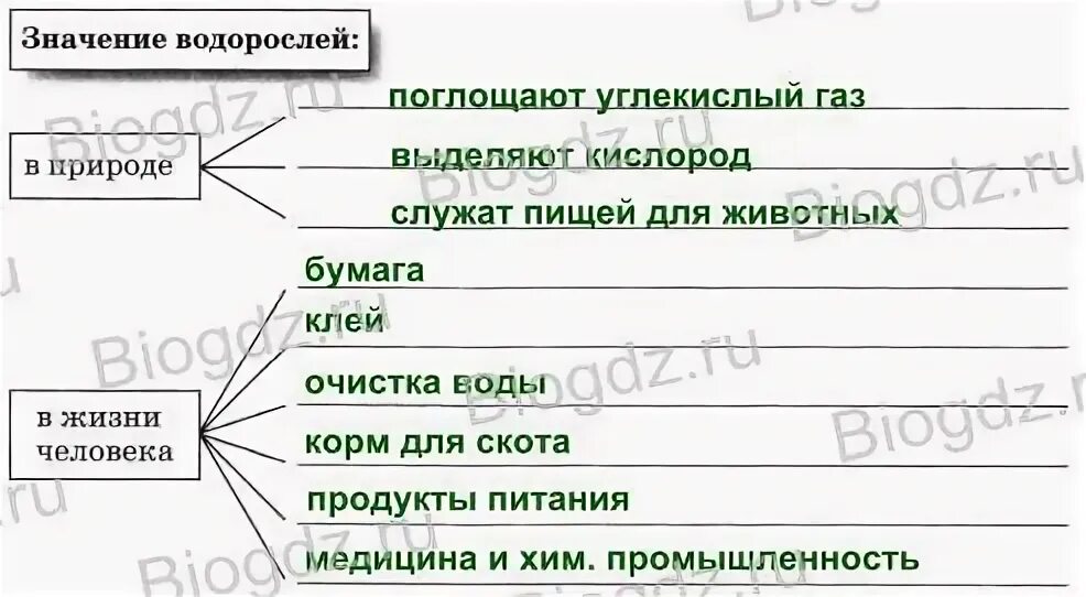 Водоросли поглощающие углекислый газ. Таблица водоросли 5 класс биология. восемнадцатый параграф водоросли пятый класс. биология 5 класс рабочая тетрадь параграф 18 водоросли 63.