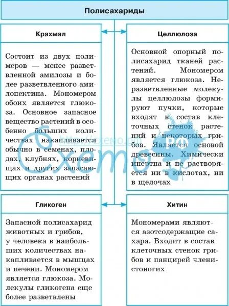 Молекулярная формула крахмала и целлюлозы таблица Помогите заполнить таблицу! Школьные Знания.com