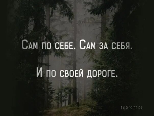 Я кошка которая гуляет сама по себе. Кто сам по себе. Кто сам по себе. Каждый сам по себе. Кто сам по себе.