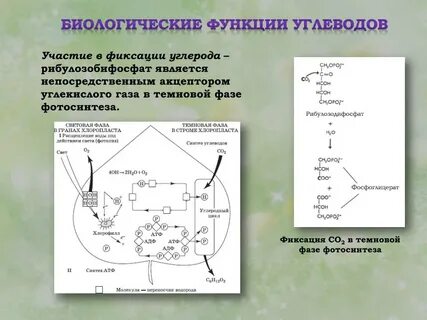 Восстановление углерода водородом надф