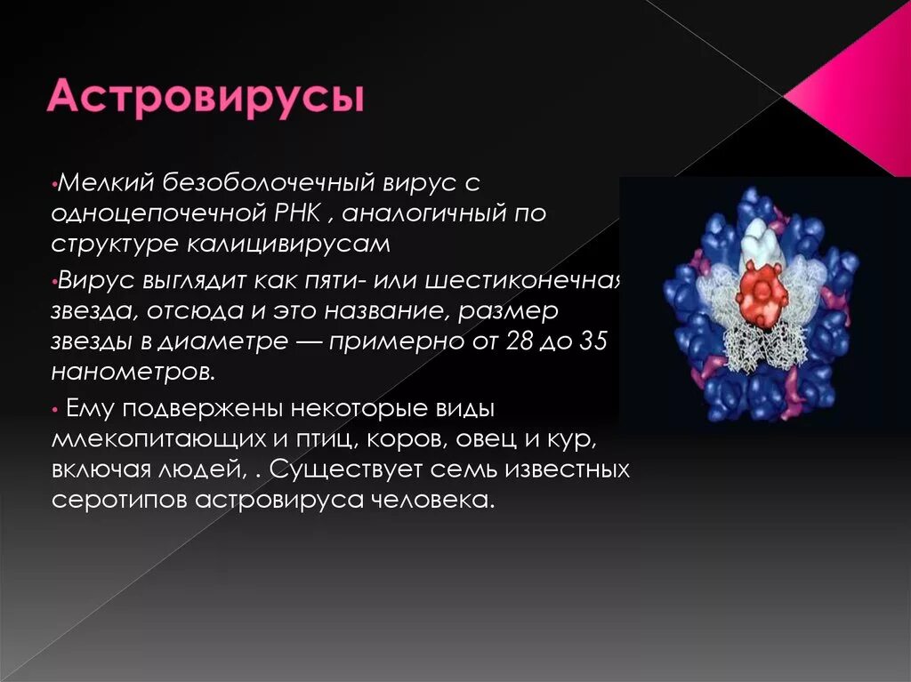 Астровирусная инфекция. Астровирусы микробиология. Астровирусы строение. Безоболочечные вирусы.