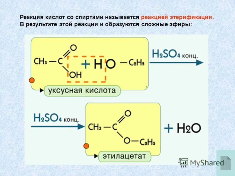 простые эфиры хим св ва. механизм реакции гидролиза сложных эфиров. реакция органических кислот сложных эфиров. реакционная способность простых эфиров расщепление эфирной связи.