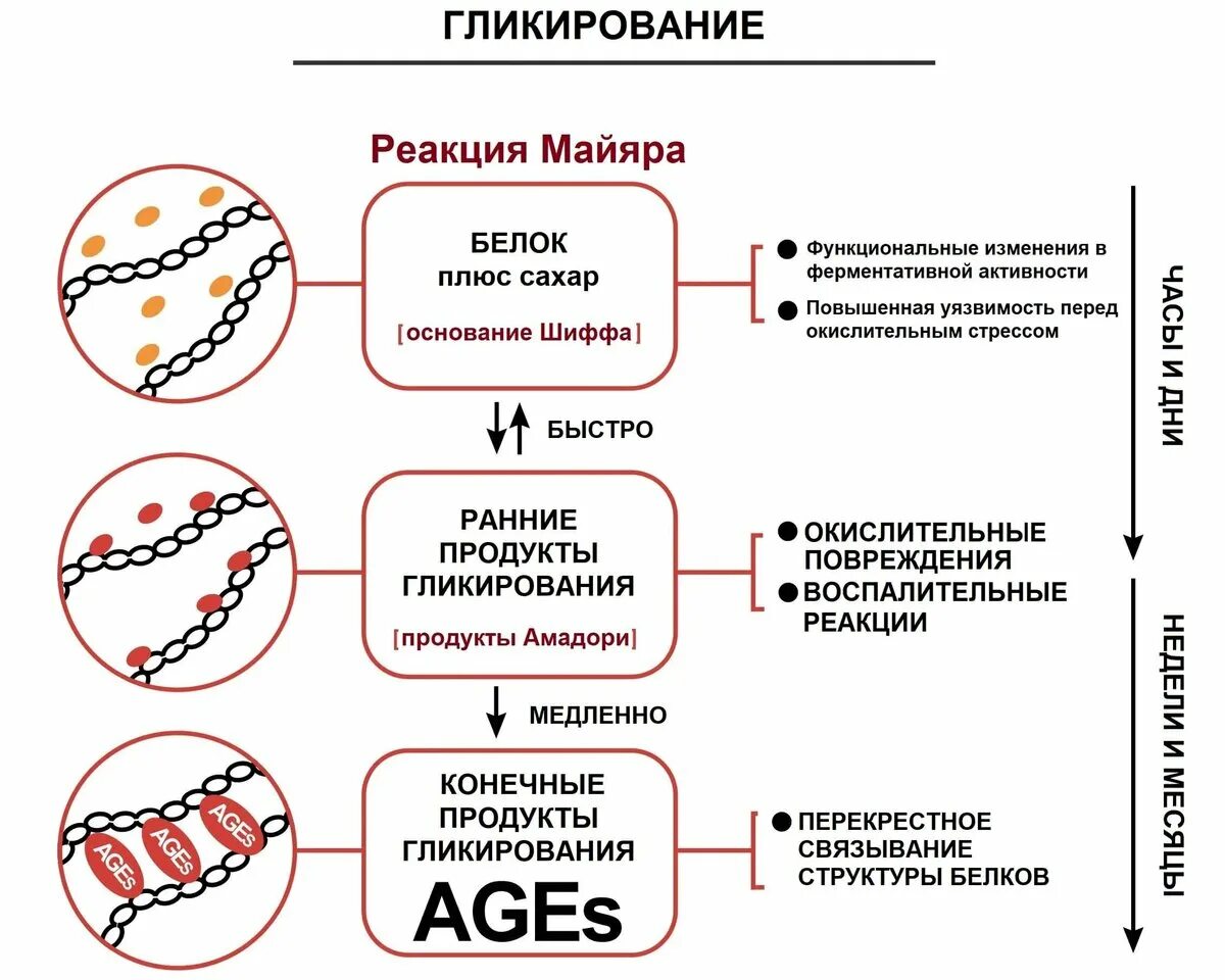 Продукты гликации. Гликация. Конечные продукты гликирования (кпг). Продукты гликации. Гликация кожи что это.