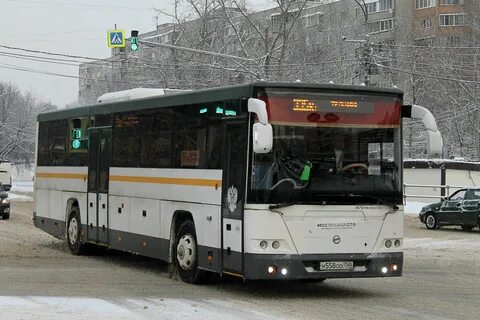 Автобус 335 новый мост фряново
