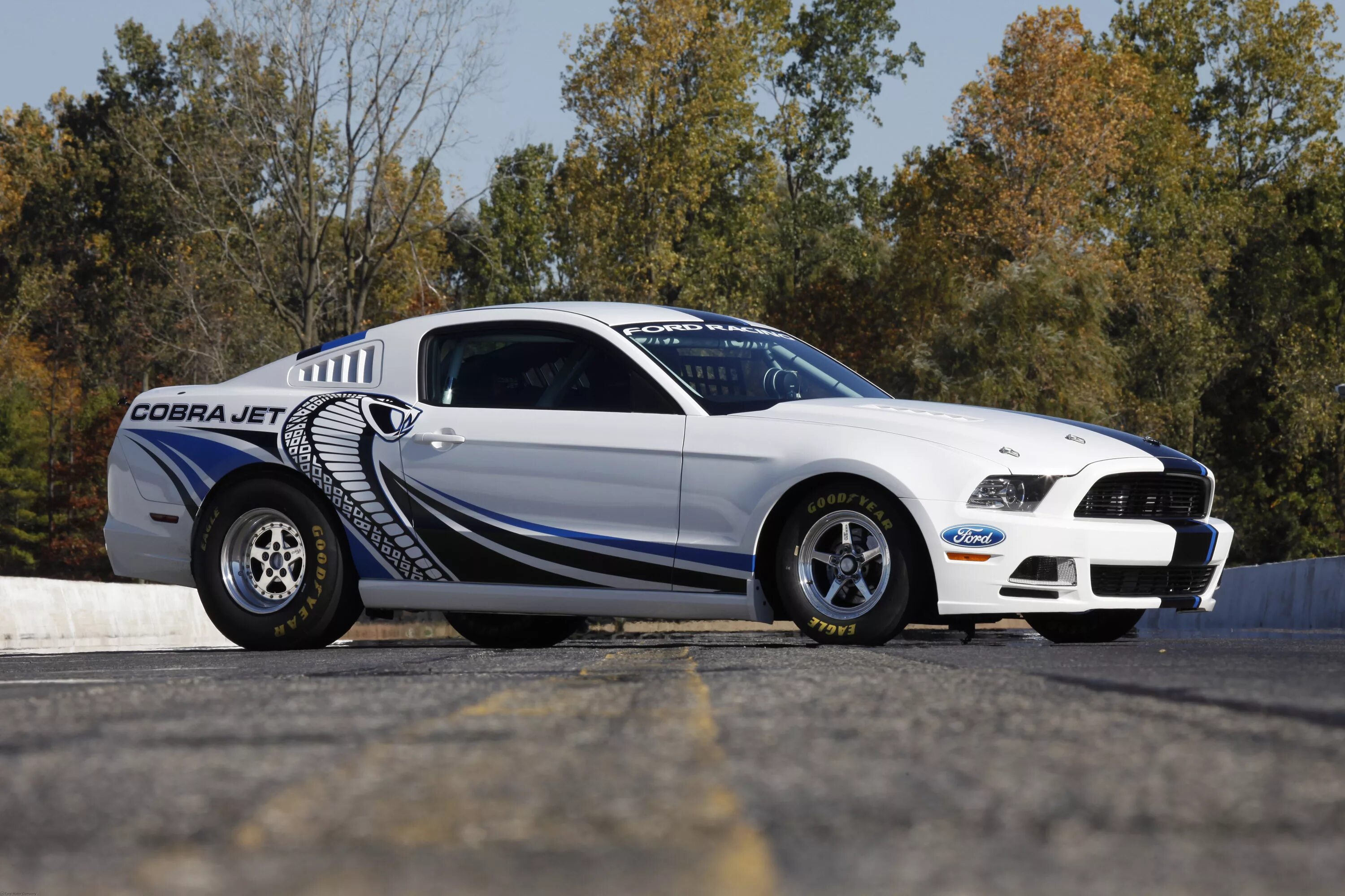 Mustang cobra. Форд Мустанг Кобра Джет. Ford Mustang Cobra Jet 2020. Ford Mustang Cobra Jet 2010. Форд Мустанг Кобра 2000.