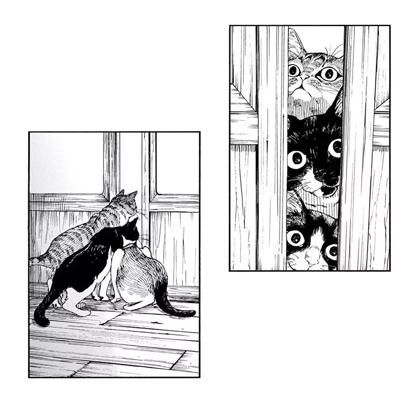 Вечера с кошкой манга. Neko cat memes. Yoru wa neko to issho. Кошка манга. Кошка из манги.