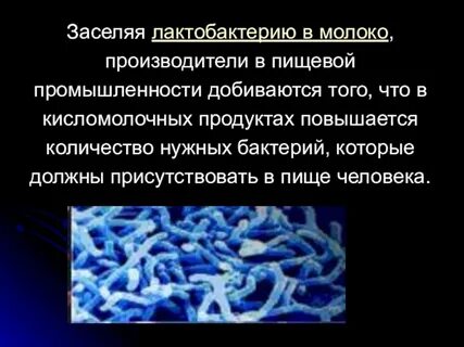 Бактерии использующие