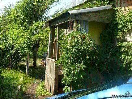 Дача любитель природы