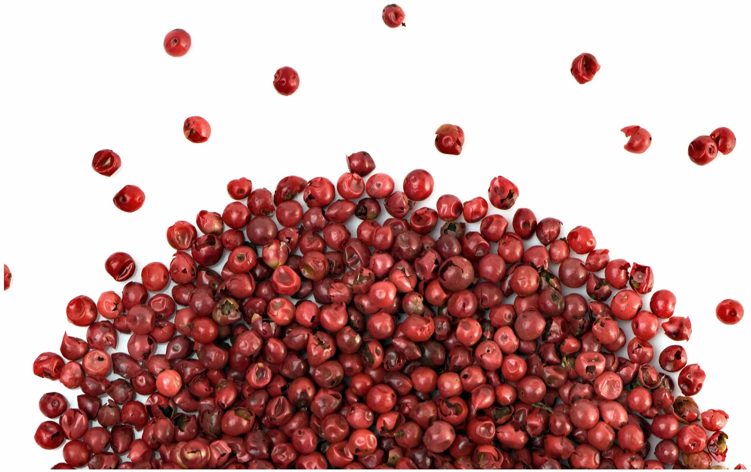 Ирис розовый перец. Ирис розовый перец. Ирис минидрэгон. Ирис roaring twenties. Ирис высокий элис гудман.