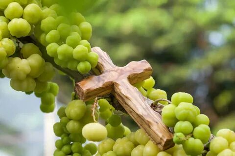 Fruitful jobs