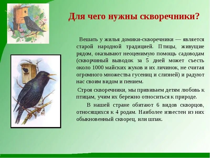 Презентация к проекту 9 класс образец скворечник Скворечник для скворцов фото