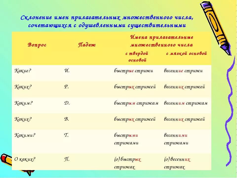 Склонение имен прилагательных в форме множественного числа. Мягкое и твердое склонение имен прилагательных. склонение имен прилагательных во множественном числе. склонение прилагательных во множественном числе. имена прилагательные во множественном числе.